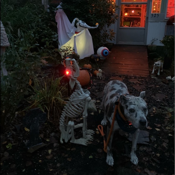 ๐ป2019 Halloween Yard & My โZEROโ Dog Creation!๐ฆ - Picture 5 of 8